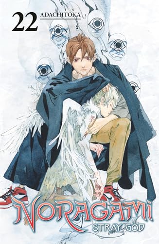 Noragami Stray God Vol 22