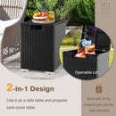 2-in-1 Patio Rattan Gas Propane Tank Cover for 20 lbs Propane Tanks