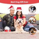 GBruno Dog Chew Toy