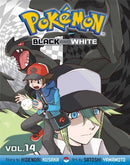 Pokemon Black and White Vol 14