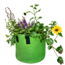 GrowBag Garden Lab - Pollinator