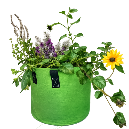 GrowBag Garden Lab - Pollinator