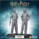 Harry Potter Miniatures Adventure Game: Weasly Twins Pack