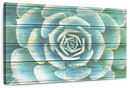 Succulent Plant Bloom Wall Art