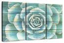 Succulent Plant Bloom Wall Art