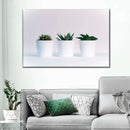 Three Succulents Wall Art