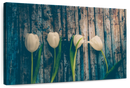 Pristine White Tulips Wall Art