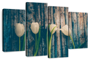 Pristine White Tulips Wall Art