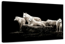 White Wolves Wall Art