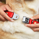 DC LEAGUE OF SUPER-PETS Logo Full Color Black/White Seatbelt Buckle Collar - DC League of Super-Pets Flash Bolt Logo Red/Yellow/White