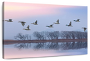 Pink Sky Over Ducks Wall Art