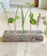 Reclaimed Wood and Glass Plant Propagation Vases
