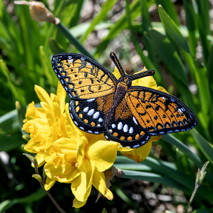 Regal Fritillary Butterfly Iron-on Patch