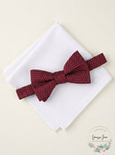Alfani Mens Dot Pre-Tied Bow Tie and Solid Pocket Square Set, Size OS