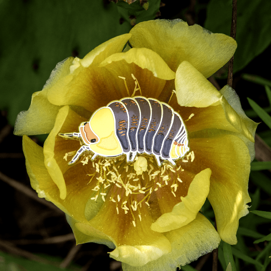 Rubber Ducky Isopod Enamel Pin