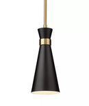 Z-Lite Soriano Matte Black and Heritage Brass One-Light Mini Pendant