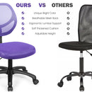 Low-back Computer Task Chair with Adjustable Height and Swivel Casters