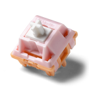 Salmon Tactile Switch