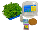 K-12 STEM Student Microgreen Kit - Single (Market Variety) Classroom Grow Kit