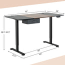 Height Adjustable Electric Standing Desk with USB Charging Port