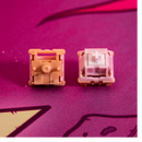 Salmon Tactile Switch