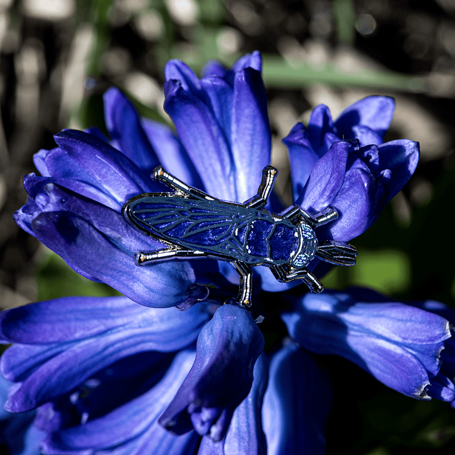 Black Soldier Fly Enamel Pin