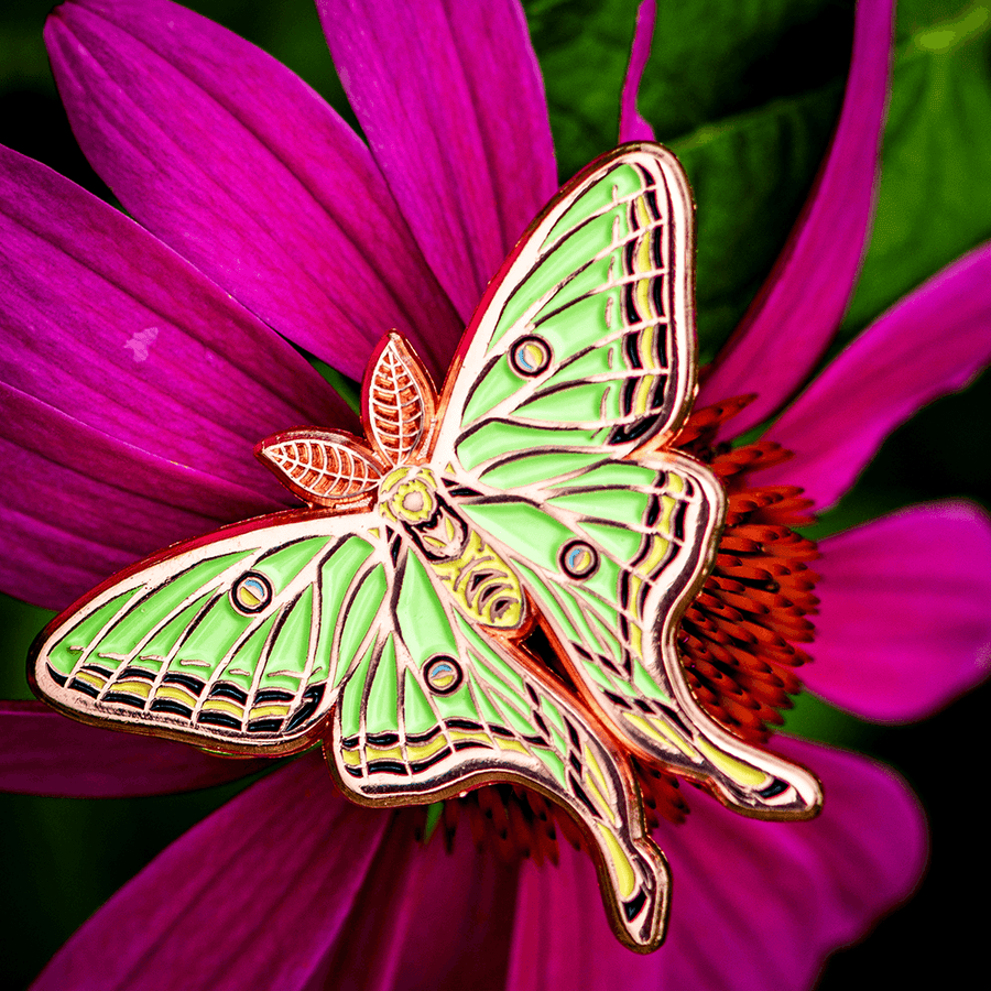 Spanish Moon Moth Male Enamel Pin