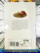 Spice and Wolf Vol 17 Light Novel