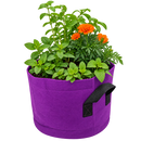 GrowBag Garden Lab - Tea