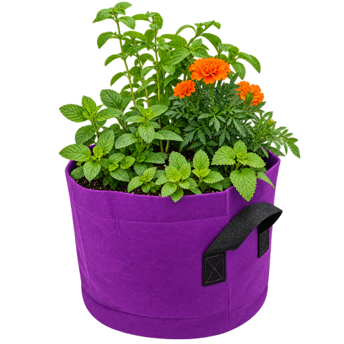 GrowBag Garden Lab - Tea
