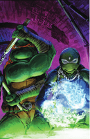 Teenage Mutant Ninja Turtles #147-150 - Lightning Comix Exclusive - Virgin Bundle