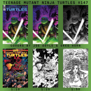 Teenage Mutant Ninja Turtles #147 - Lightning Comix Exclusive and Incentive Bundle