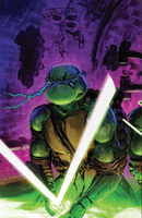 Teenage Mutant Ninja Turtles #147 - Lightning Comix Exclusive - Trio Bundle