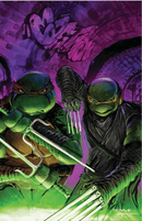 Teenage Mutant Ninja Turtles #148 - Lightning Comix Exclusive - Trio Bundle