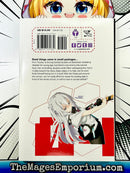 The Asterisk War Vol 4
