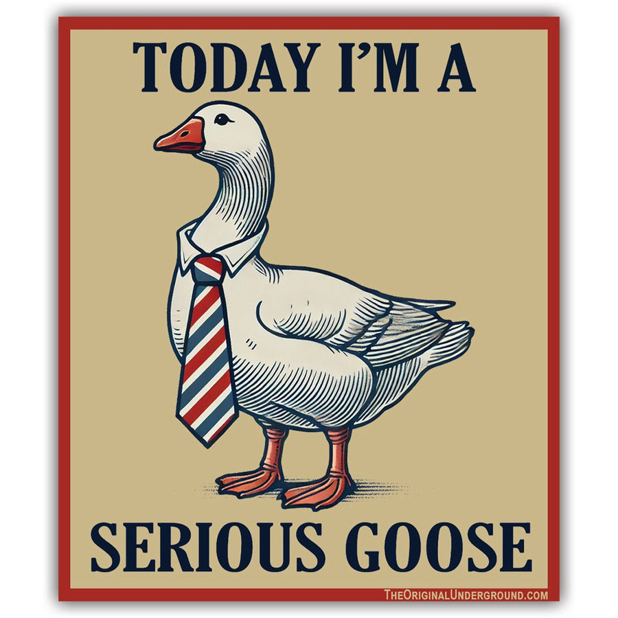 Today I'm a Serious Goose Car Magnet
