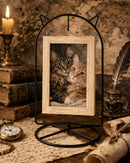 Black Cat Hanging Photo Picture Frame and Metal Ornament Stand 9.25 Inches