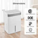 96 Pints Dehumidifier with 24H Timer and 3-Color Indicator-White