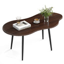 Cloud Shape Coffee Table 39.5 inch Irregular Center Table with Metal Frame