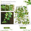 A-Frame Garden Trellis for Climbing Plant with Ground Stake and Cable Tie
