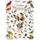 Audubon - Songbirds 1000 Piece Jigsaw Puzzle