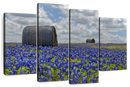 Texas Bluebonnets Wall Art