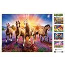 Glow in the Dark - Wild Stallions 300 Piece EZ Grip Jigsaw Puzzle
