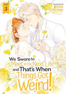 We Swore To Meet in the Next Life and That's When Things Got Weird Vol 3