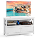 44 Inch Wooden Storage Cabinet TV Stand