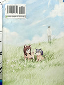 Wolf Children Hardcover