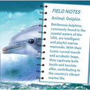 Dolphin 100 Piece Shaped Jigsaw Puzzle