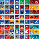 NHL Mascots Matching Game