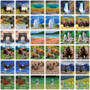 Jr. Ranger - Yellowstone Matching Game