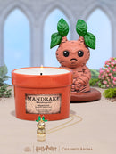 *NEW* Charmed Aroma: Harry Potter™ Mandrake™ Candle + Jewelry Tray - Mandrake™ Necklace Spastic Pops 